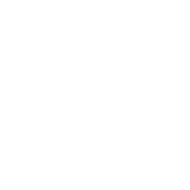 Logo Borneo Schematics